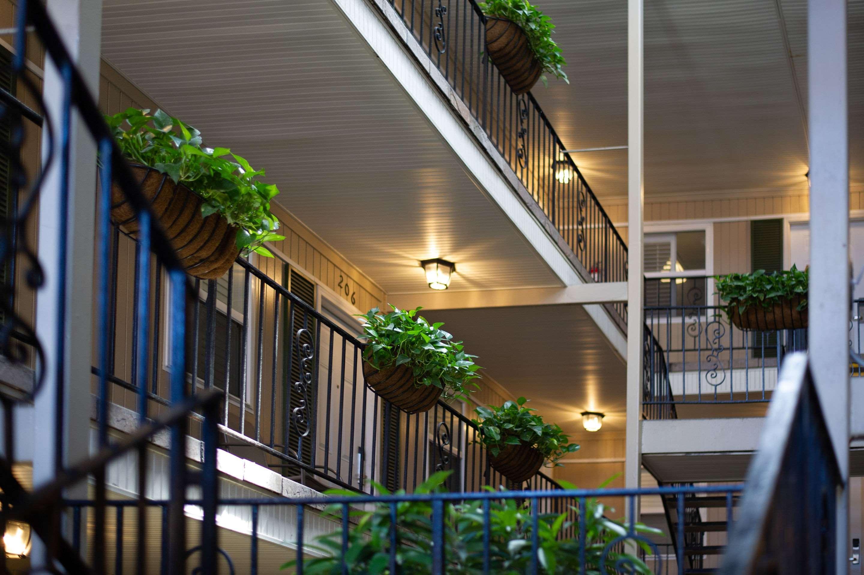 Frenchmen Orleans At 519, Ascend Hotel Collection Nueva Orleans Exterior foto